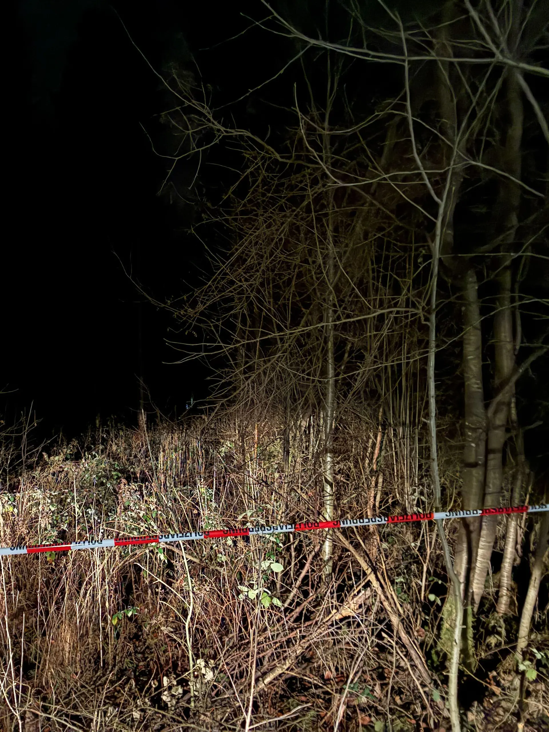 Das Waldstück in der Nähe von München durchsuchen die Polizeibeamten.