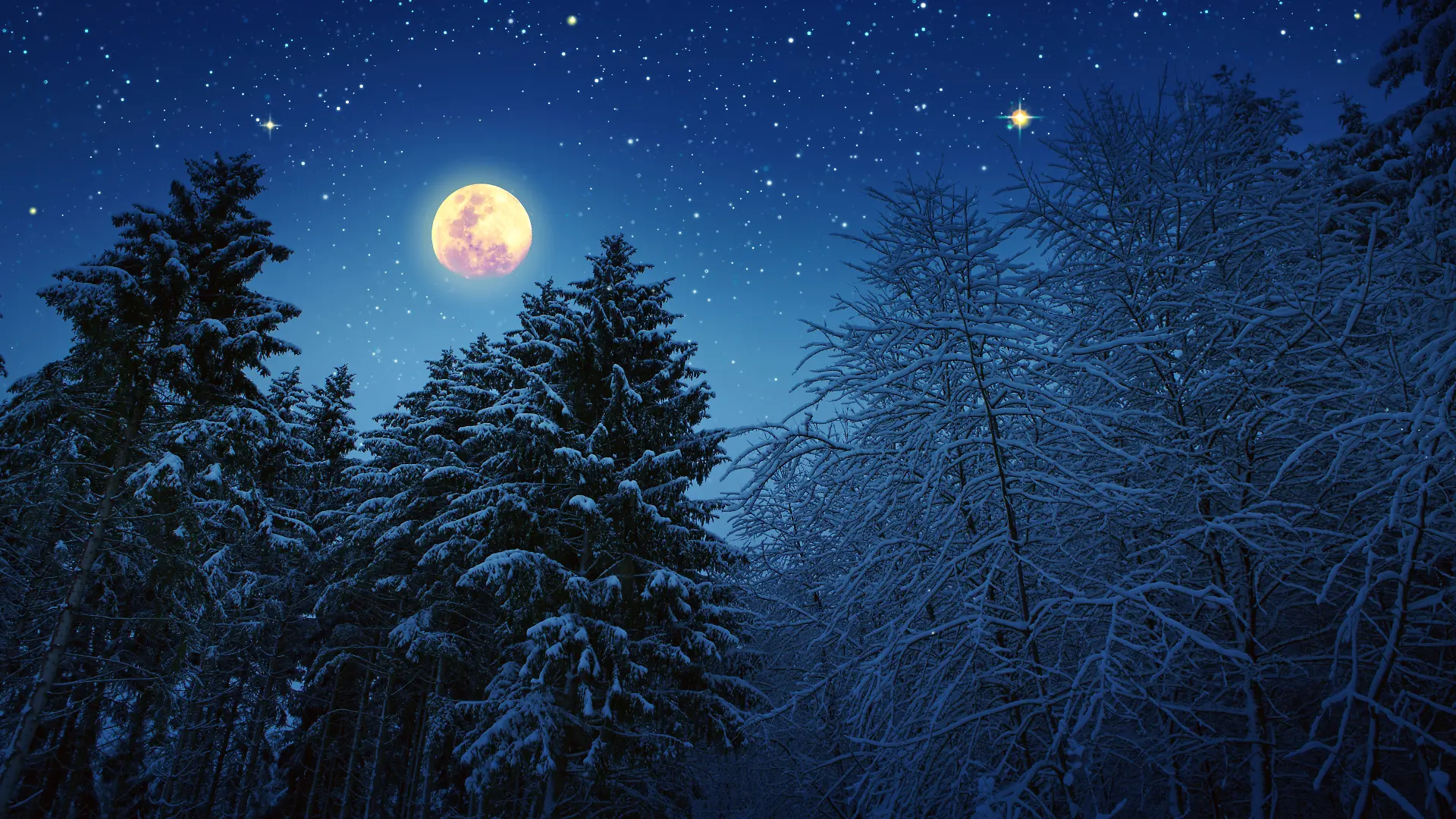 Kurz vor Weihnachten erstrahlt der letzte Vollmond des Jahres am Himmel.