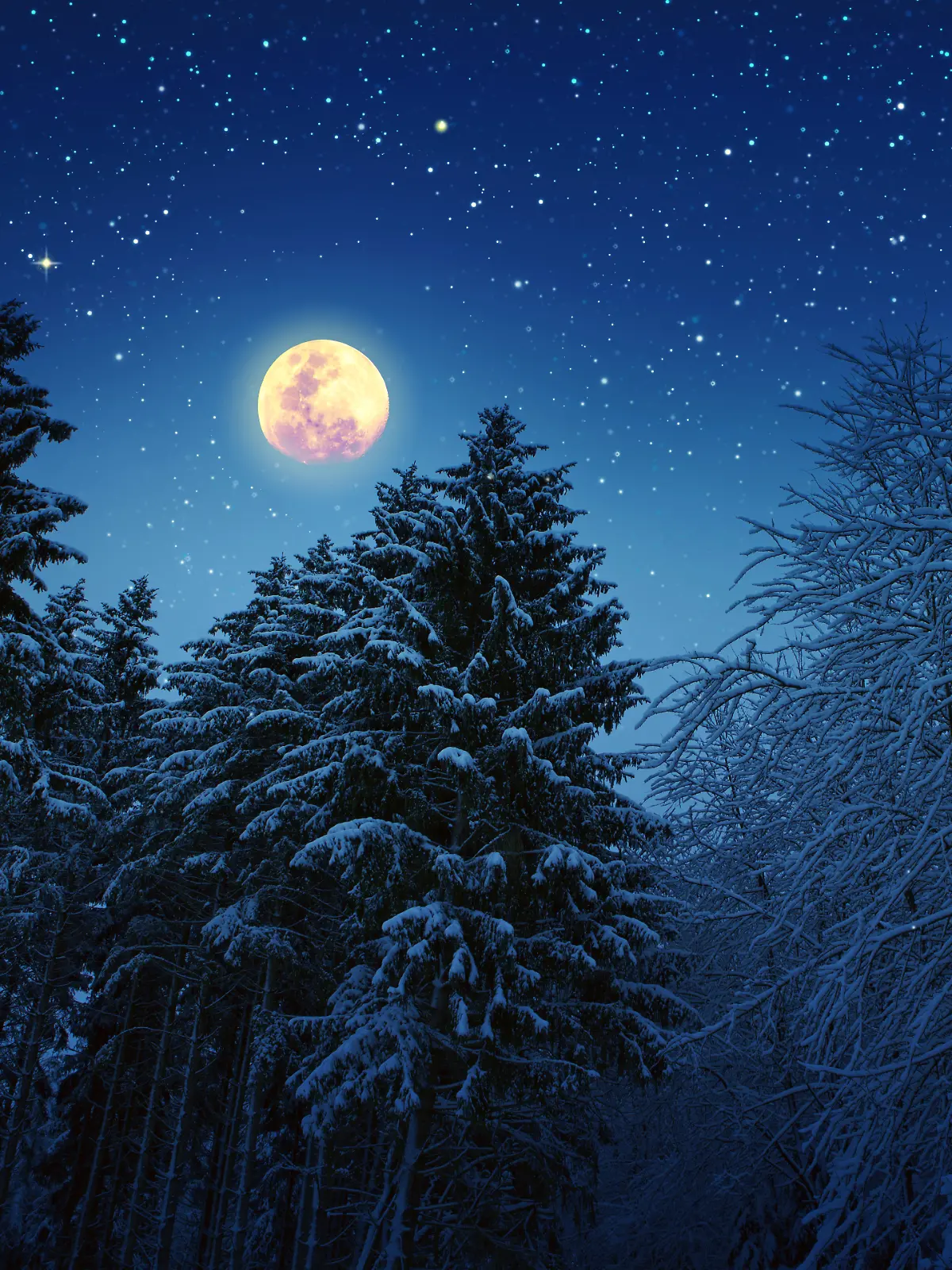 Kurz vor Weihnachten erstrahlt der letzte Vollmond des Jahres am Himmel.