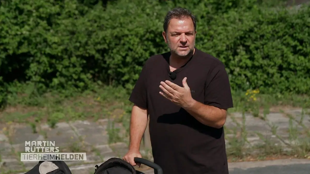 Chiara bereitet Hunde auf den Wesenstest vor Training für mehr Sicherheit