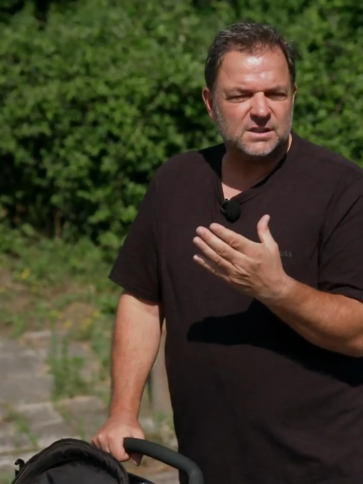 Bild zu: "Chiara bereitet Hunde auf den Wesenstest vor"