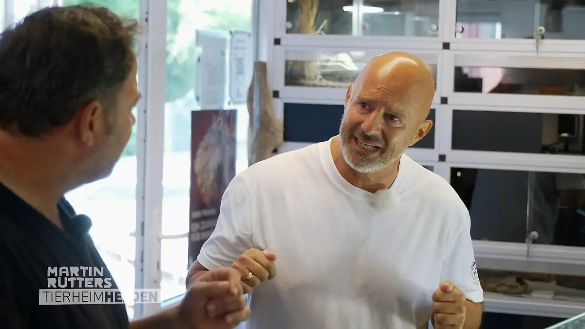 Bei Vogelspinnen hört es für Deffi auf Unheimliche Begegnung im Tierheim