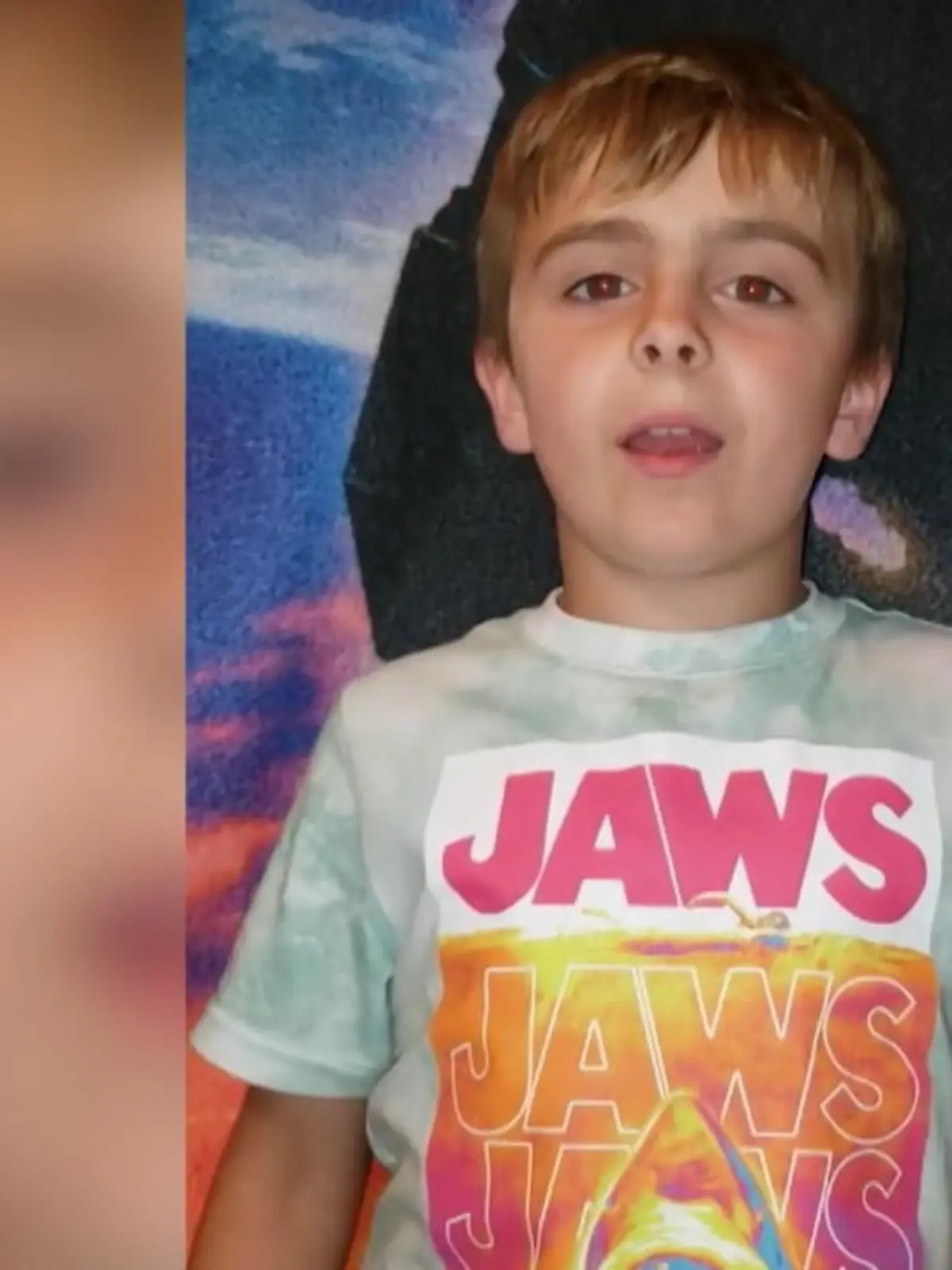 Bild zu: "Junge kämpft auf Youtube gegen Mobbing"