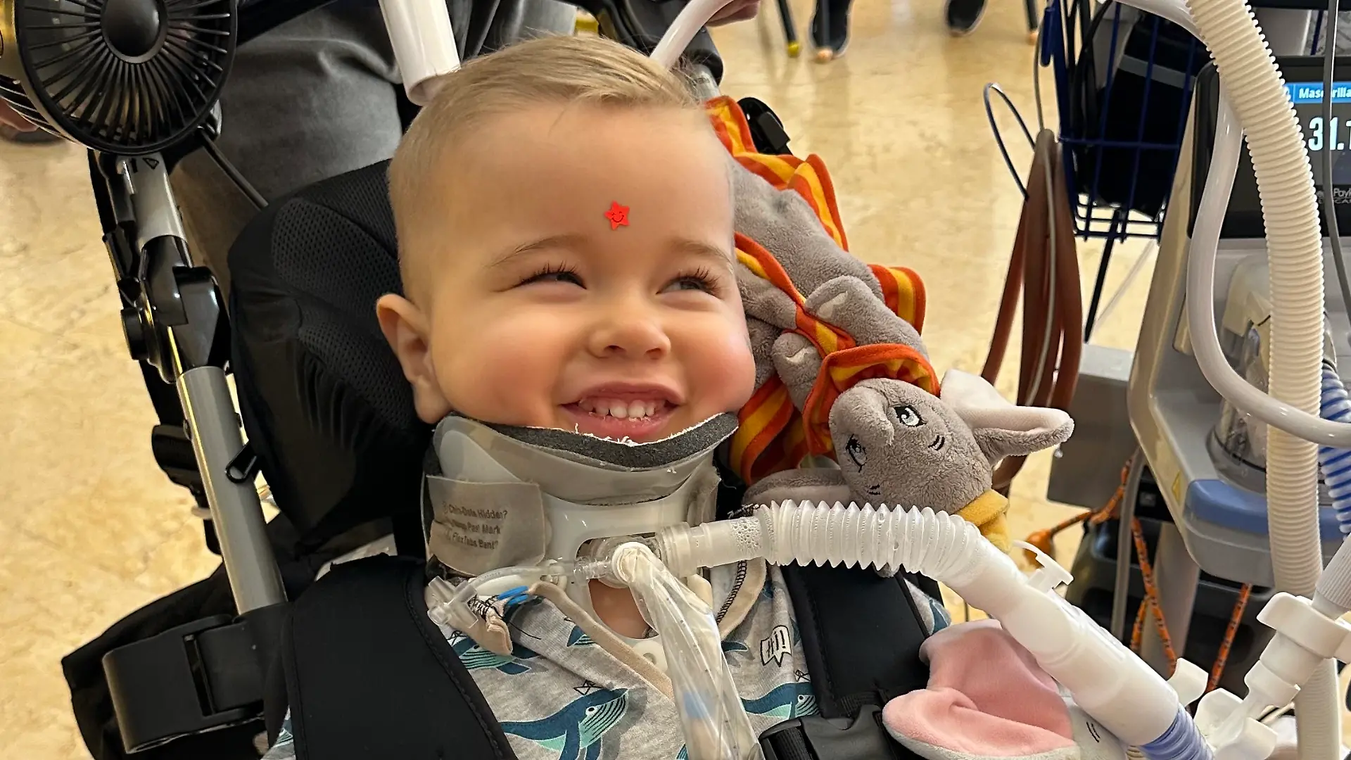 Der kleine Olli sitzt seit dem Horror-Unfall in einem Rollstuhl.