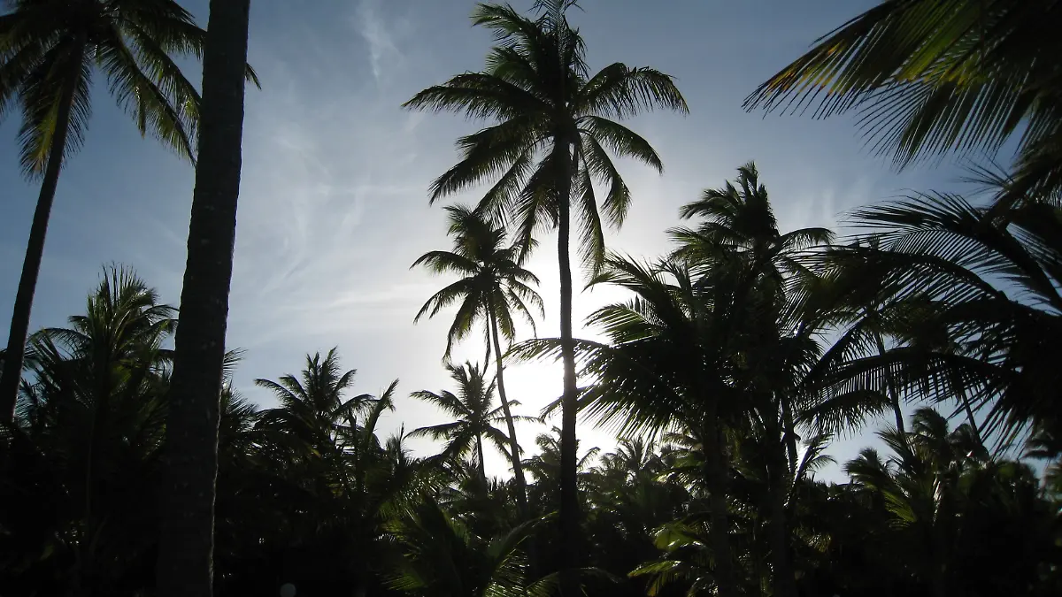 Im karibischen Urlaubsparadies Dominikanische Republik prallt ein Minivan mit sechs Deutschen gegen eine Autobahnmauer. 