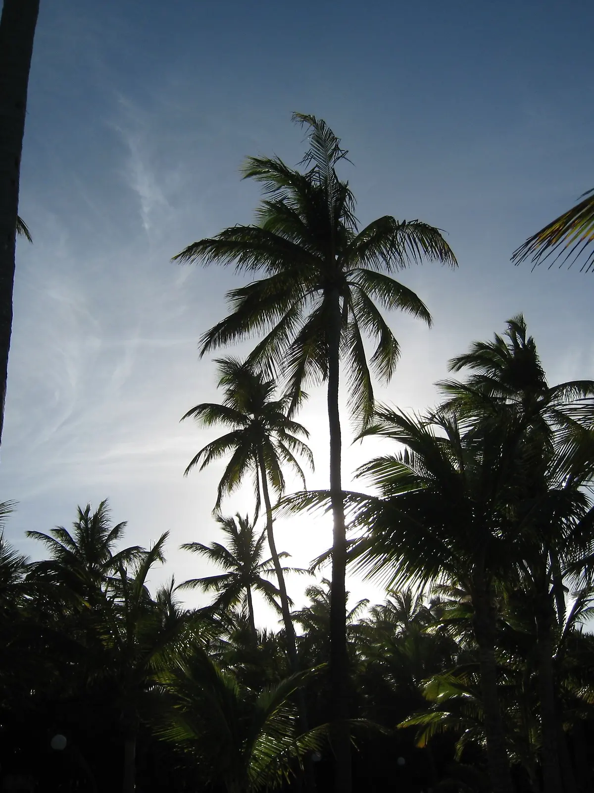 Im karibischen Urlaubsparadies Dominikanische Republik prallt ein Minivan mit sechs Deutschen gegen eine Autobahnmauer. 