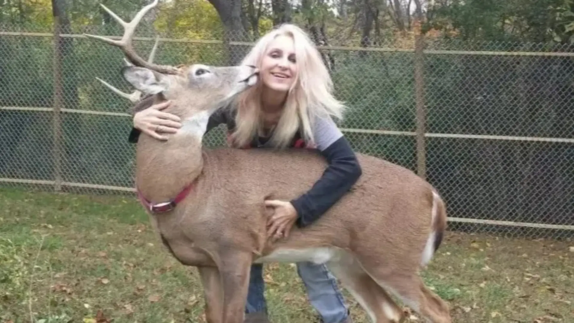 Jodi P., Ohio