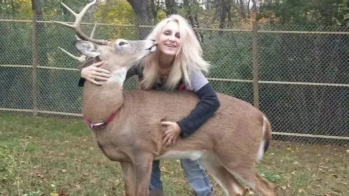 USA-Frau-von-Reh-zu-Tode-gebissen-sie-hatte-das-Tier-aufgep-ppelt