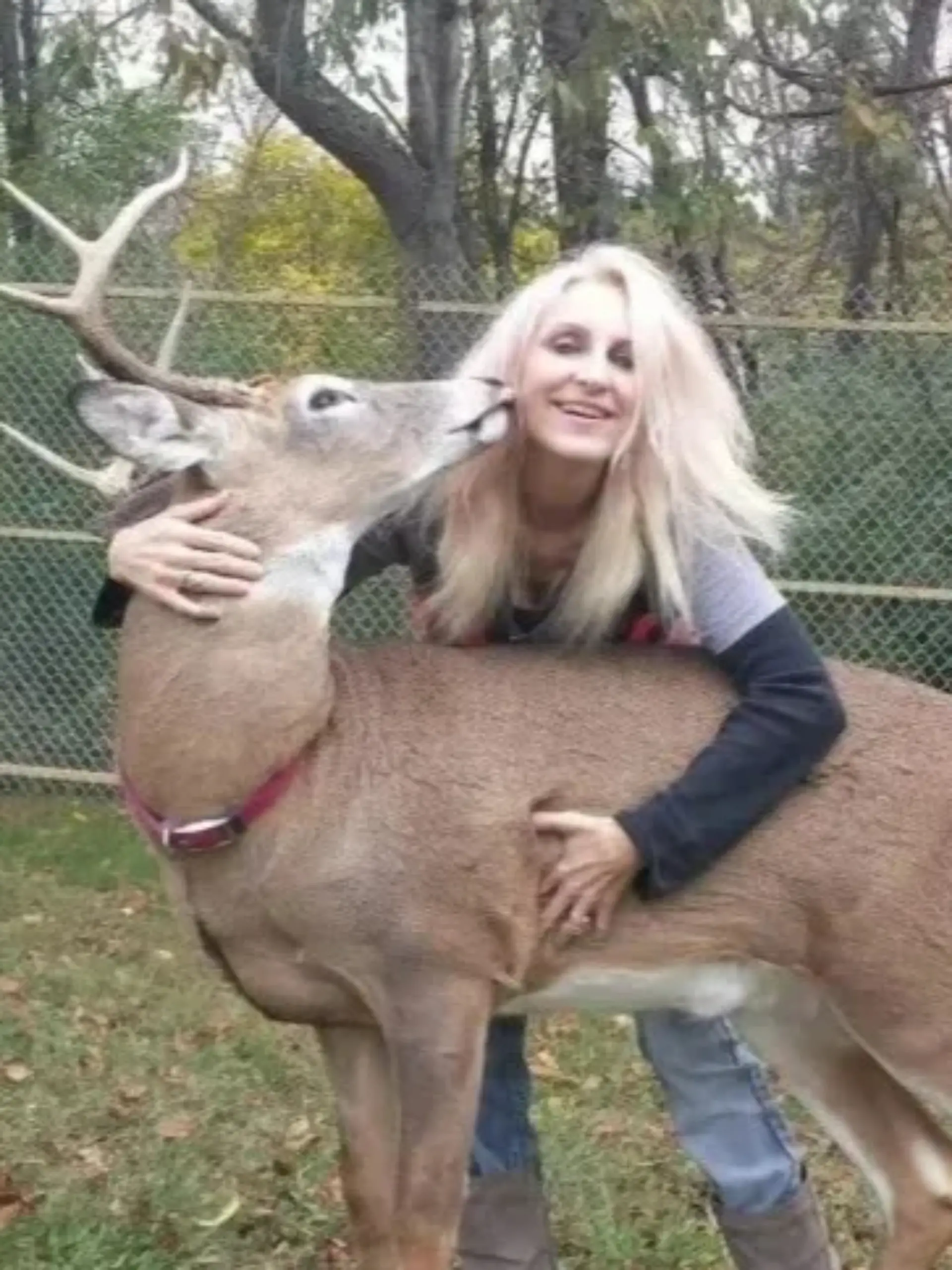 Jodi P., Ohio