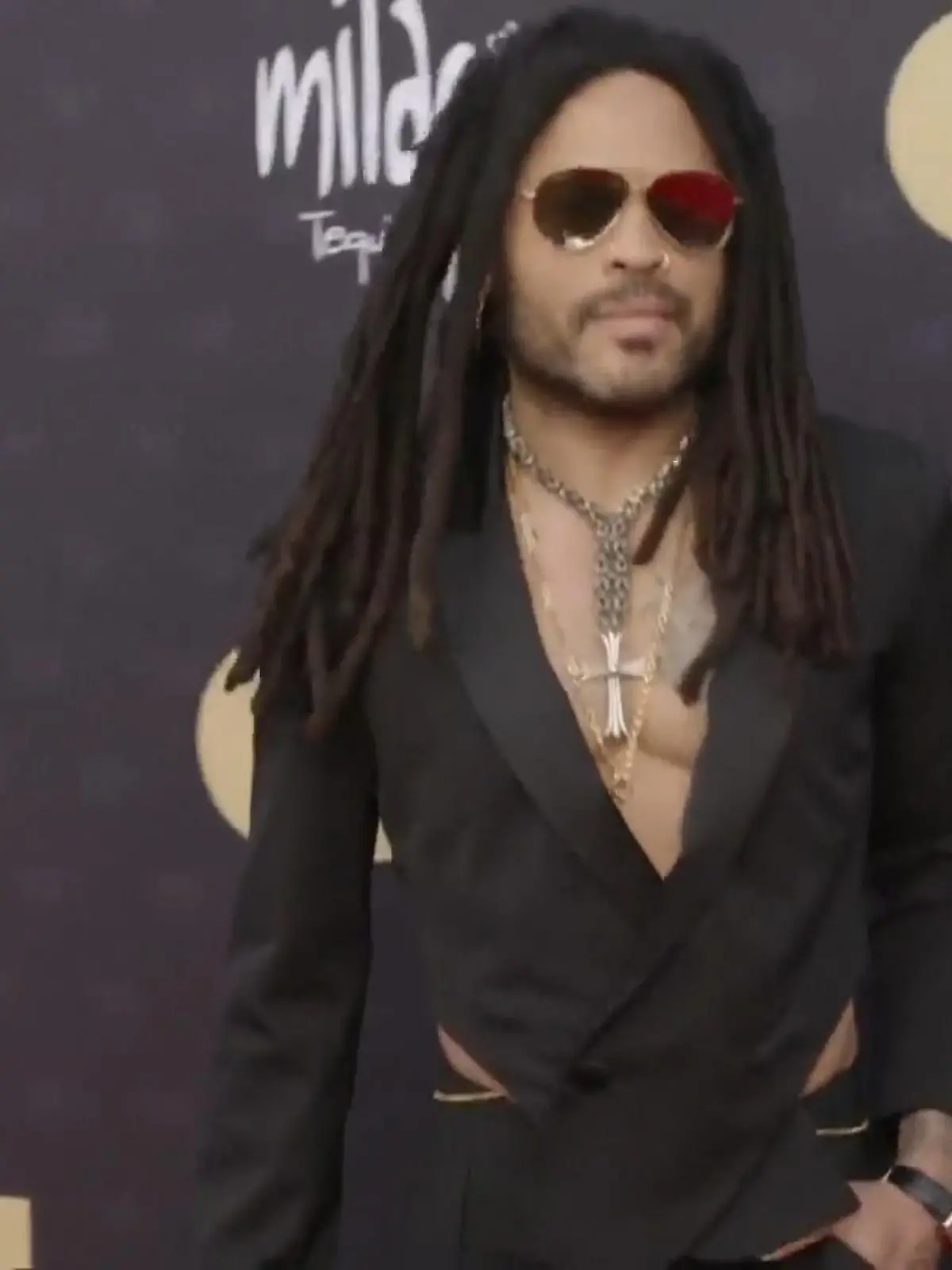 Bild zu: "Fan reißt Lenny Kravitz Haare aus"