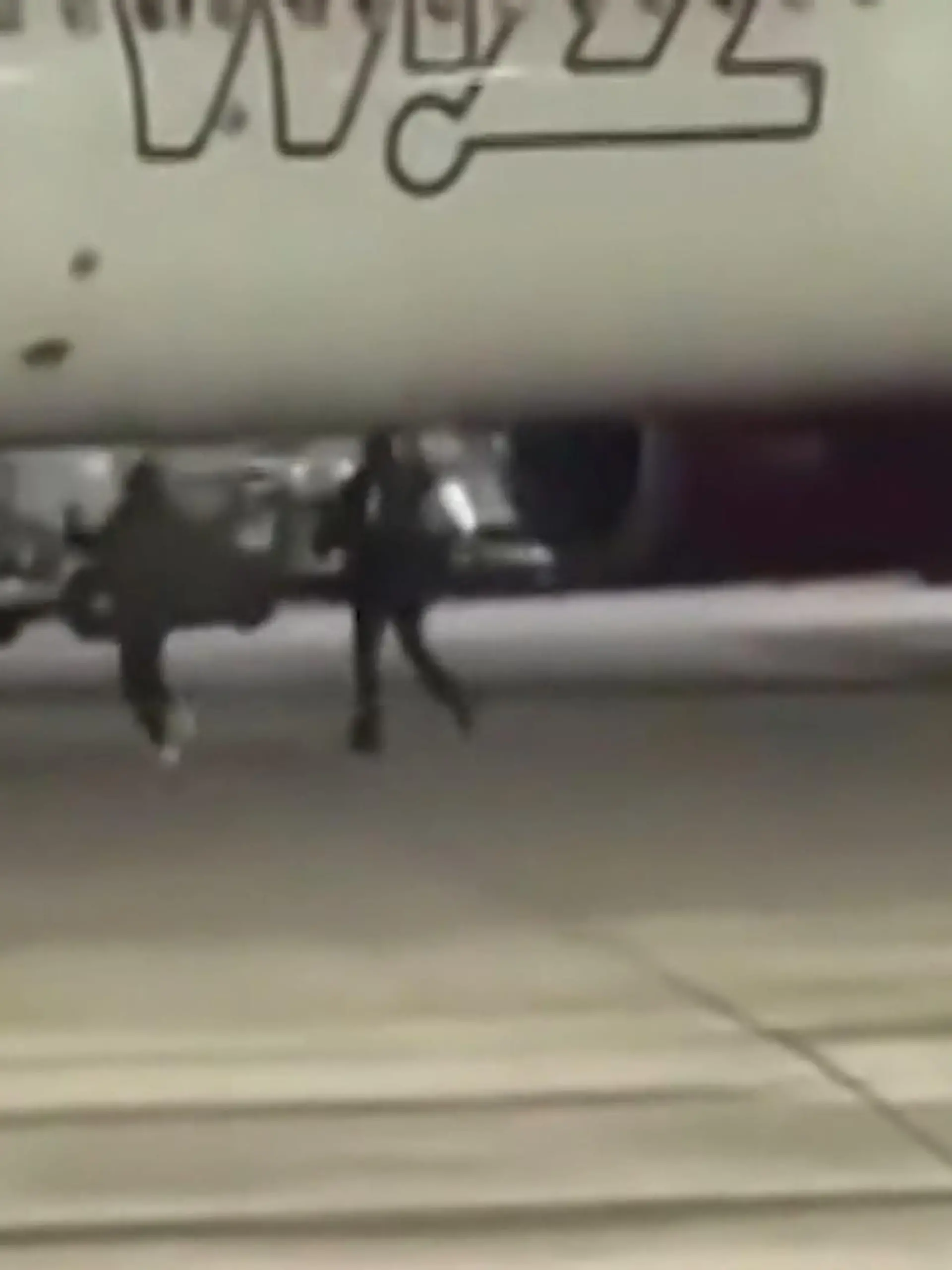 Bild zu: "Übers Rollfeld! Passagiere rennen verpasstem Flugzeug hinterher"