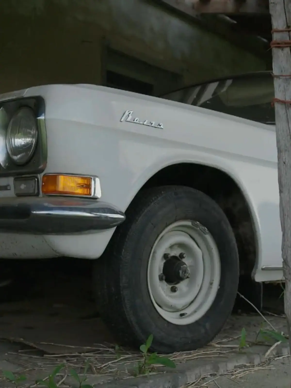 Bild zu: "Die Jagd nach echten Autoschätzen"