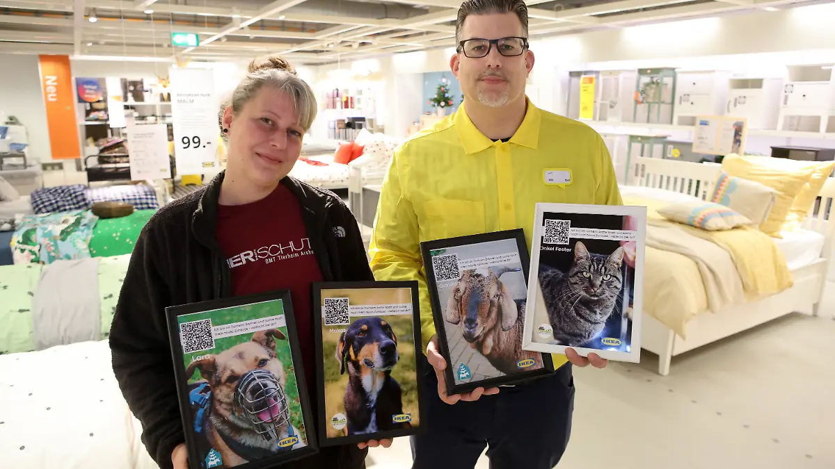 Tierische-Ikea-Aktion-Heimtiere-suchen-neues-Zuhause-im-M-belhaus