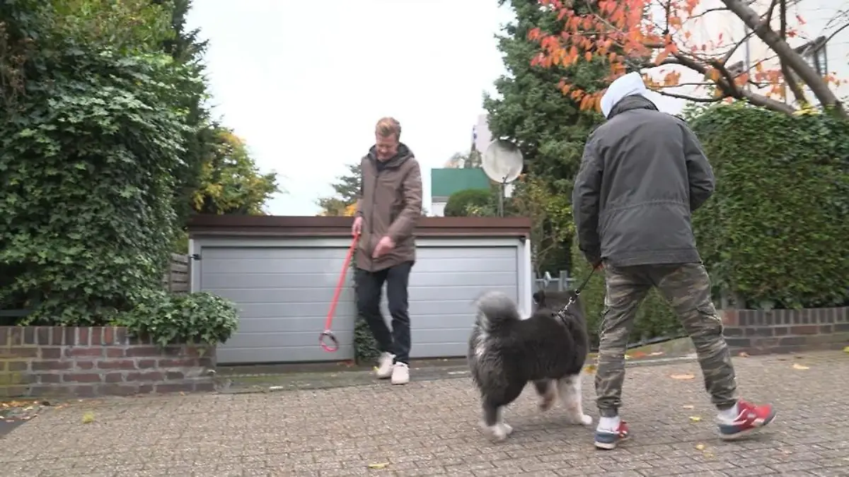 Nach Hobby Horsing wird Hobby Dogging zum Trend – sinnvoll oder einfach nur gaga? Unsichtbare Hunde beißen nicht