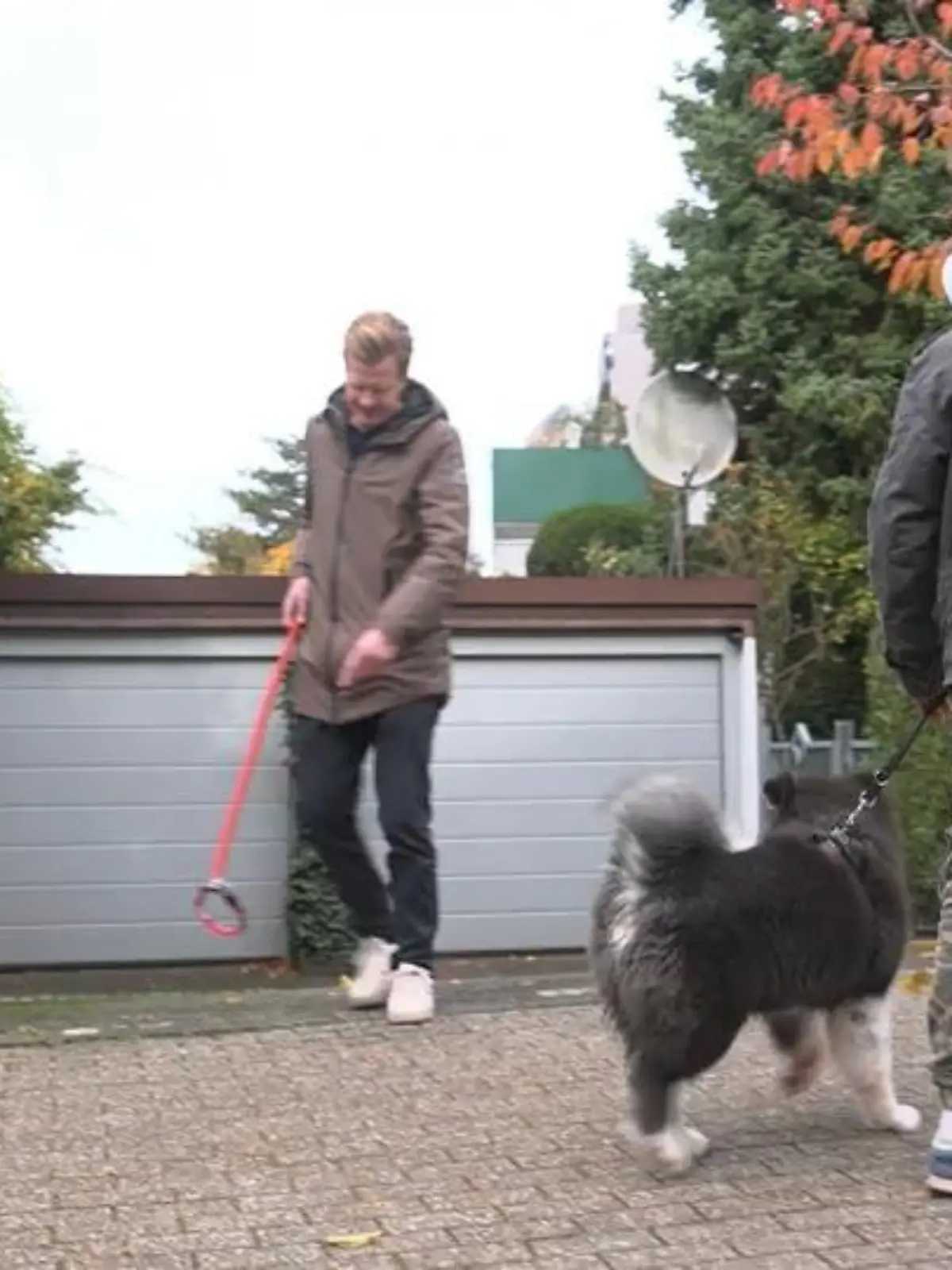 Bild zu: "Nach Hobby Horsing wird Hobby Dogging zum Trend – sinnvoll oder einfach nur gaga?"