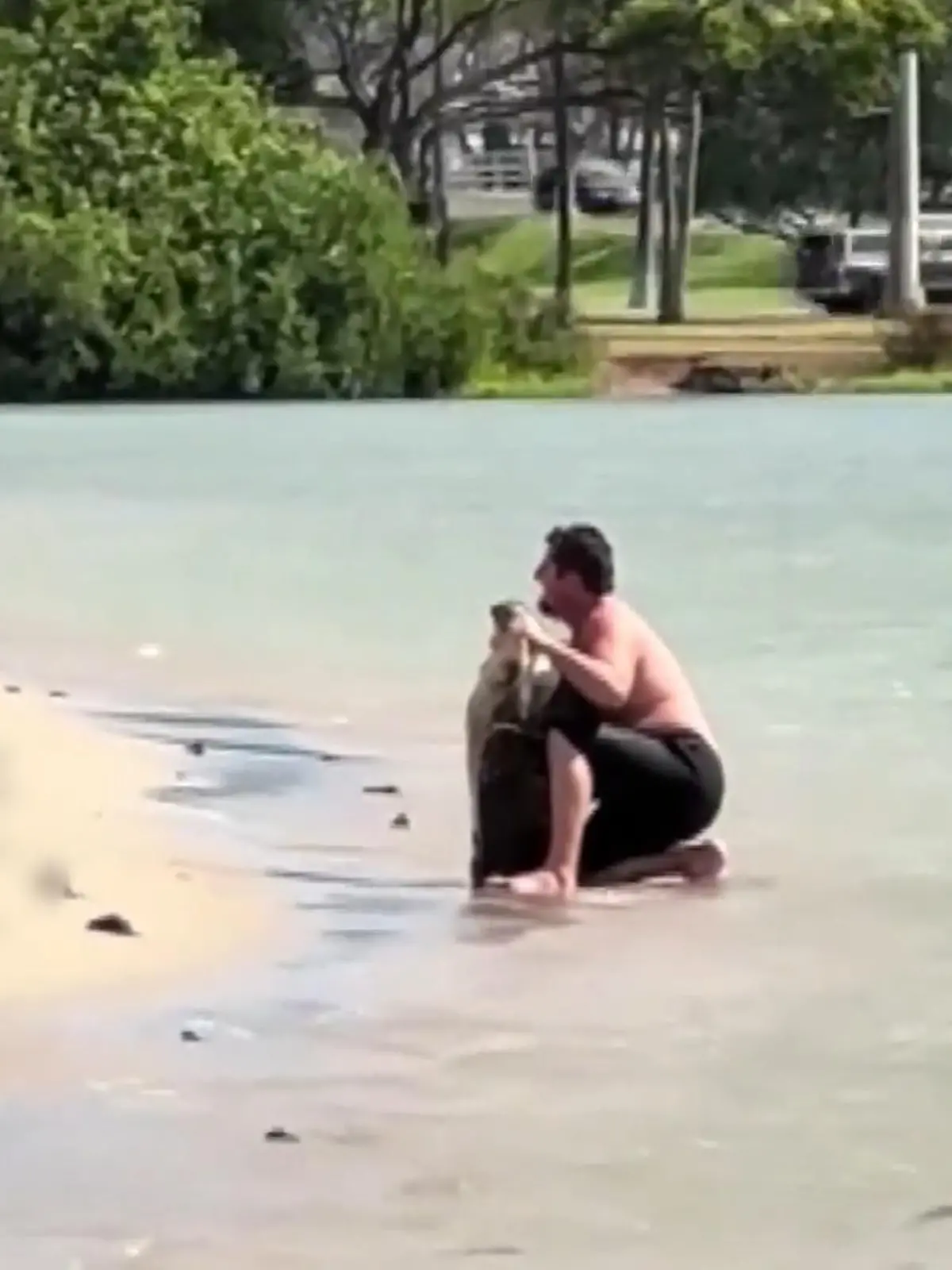 Bild zu: "Alles nur für ein Foto! Mann quält Meeresschildkröte am Strand"