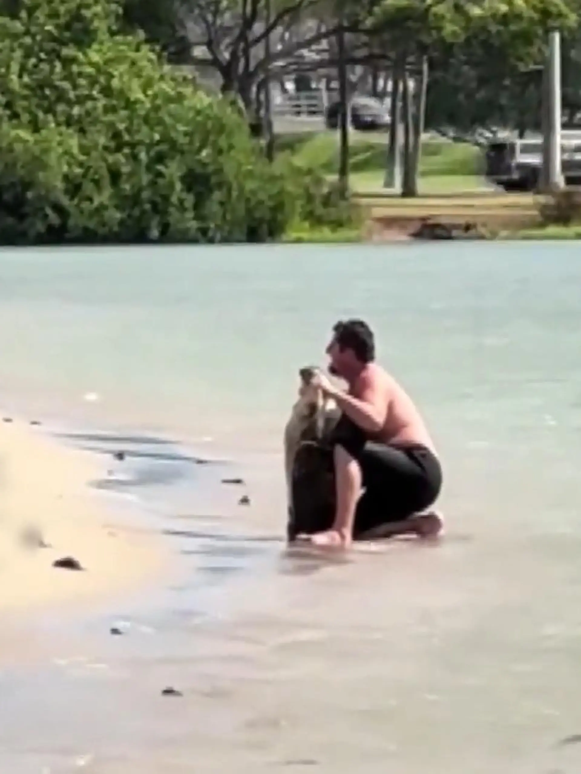 Bild zu: "Alles nur für ein Foto! Mann quält Meeresschildkröte am Strand"