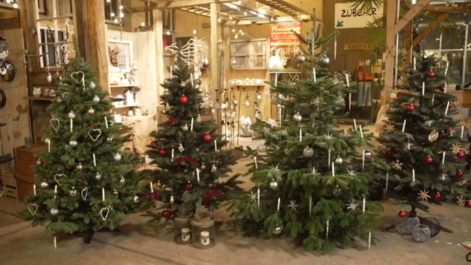 Vier Weihnachtsbäume drei davon künstlich im Bild.
