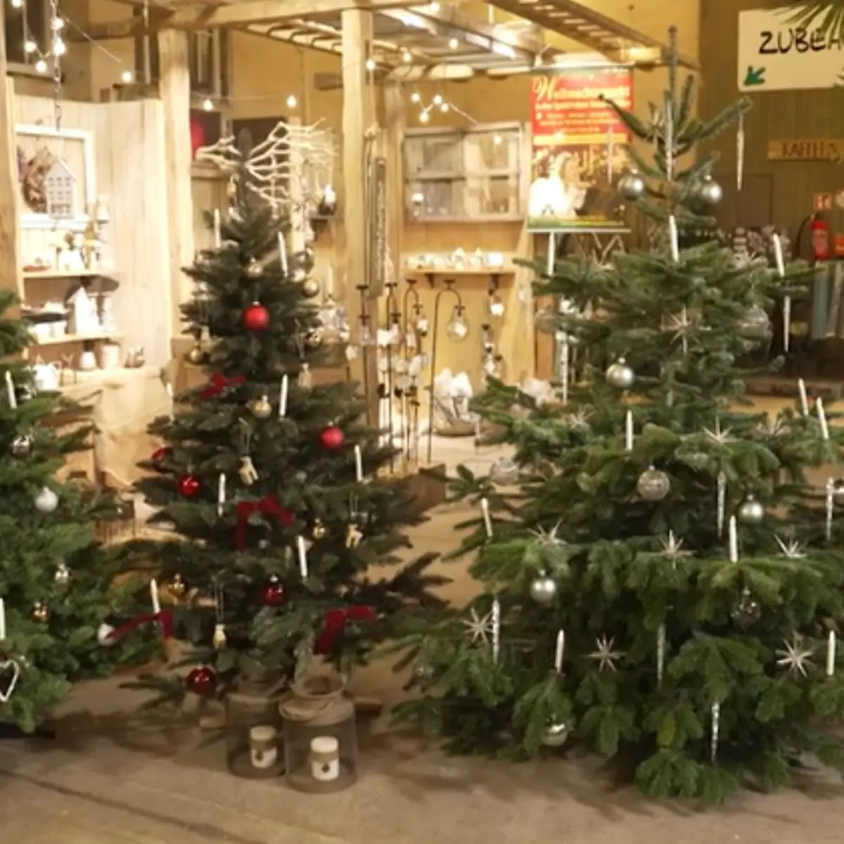 Künstliche Weihnachtsbäume im Vergleich: Unser Testsieger 2025 sieht täuschend echt aus