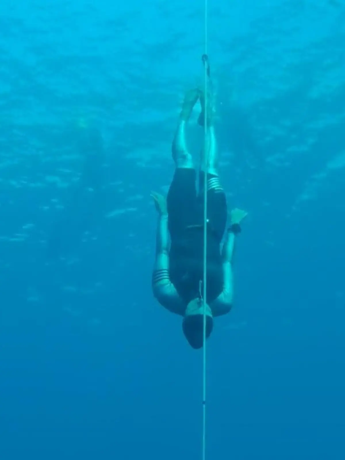 Bild zu: "Mit einem Atemzug zum Weltrekord! Kateryna Sadurska taucht 86 Meter tief - ohne Sauerstoff"