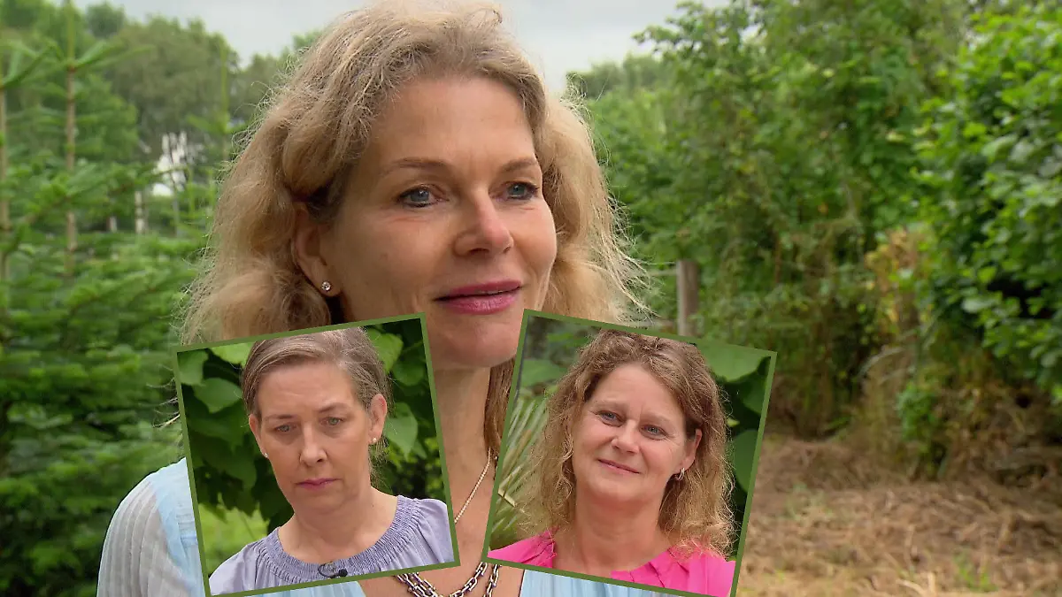 Zu zart für den Hof? Schon Zickenalarm bei Bauer Jörgs Damen! Bevor es für ihn bei „Bauer sucht Frau” losgeht