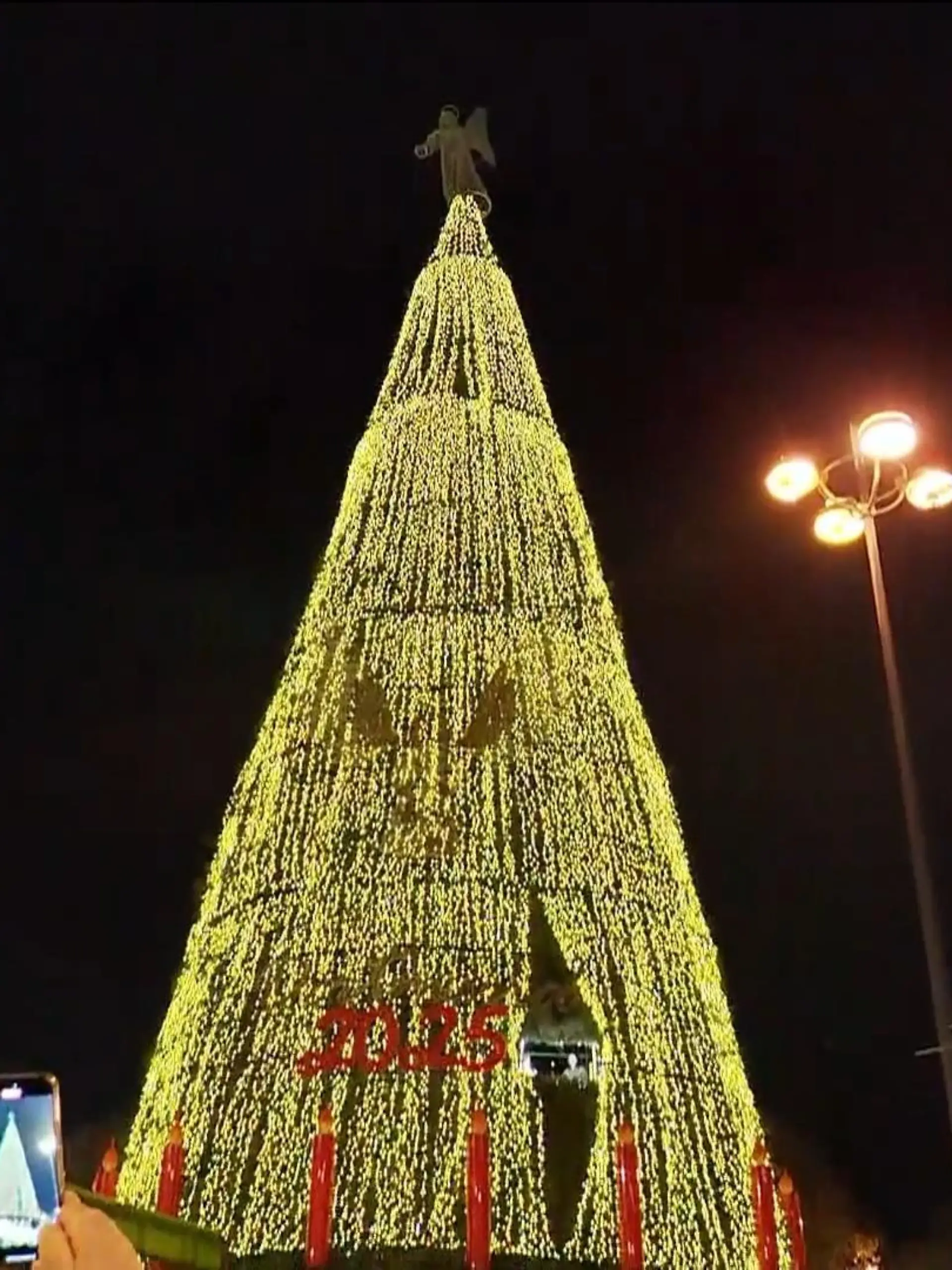Bild zu: "Weihnachtsbaum bringt Dortmund zum Strahlen"