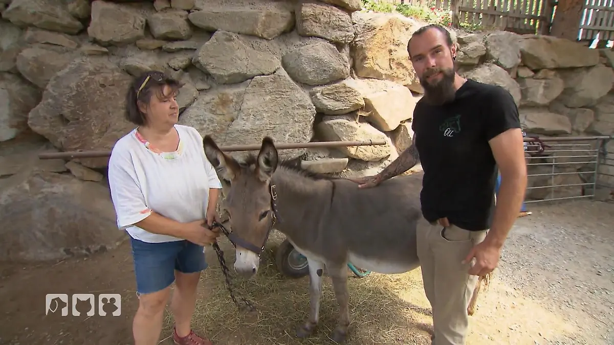Esel Polly steht vor einem wichtigen Tauglichkeitstest Nächster Einsatz