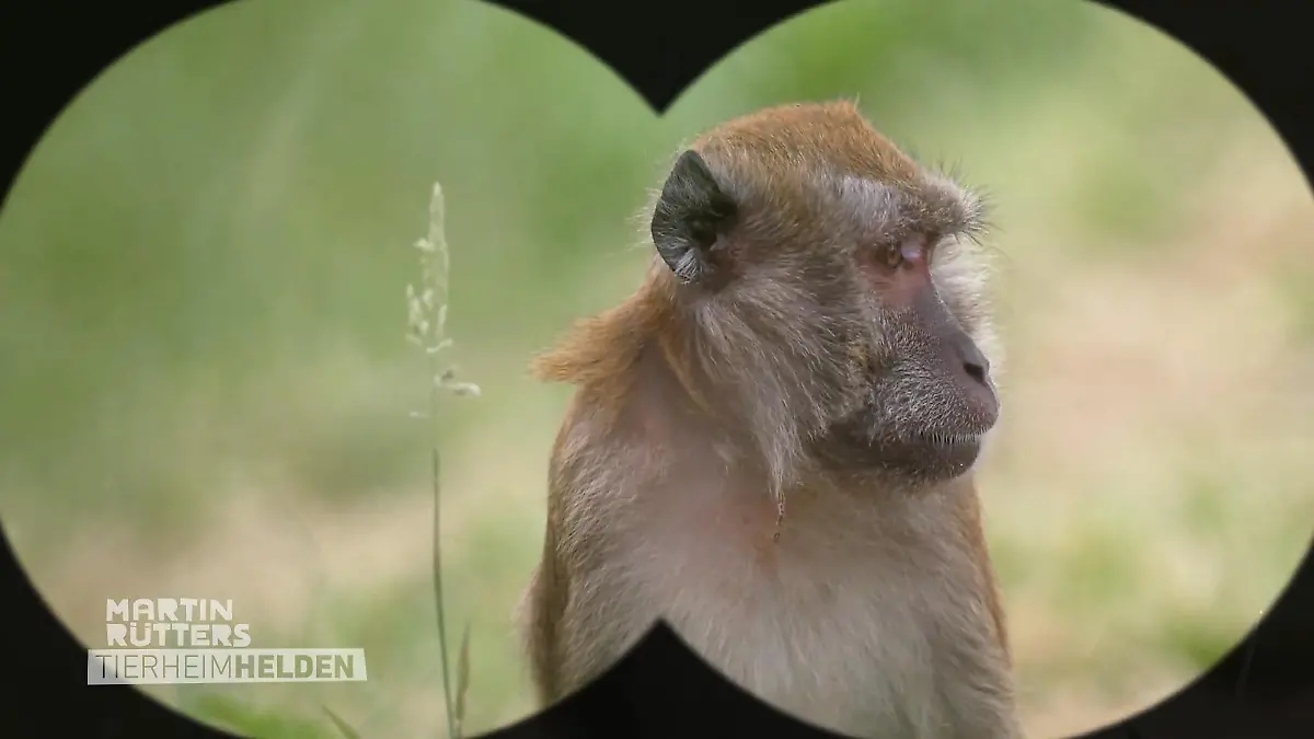 Martin und Detlef besuchen die AAP Tierschutzorganisation Exoten in Not