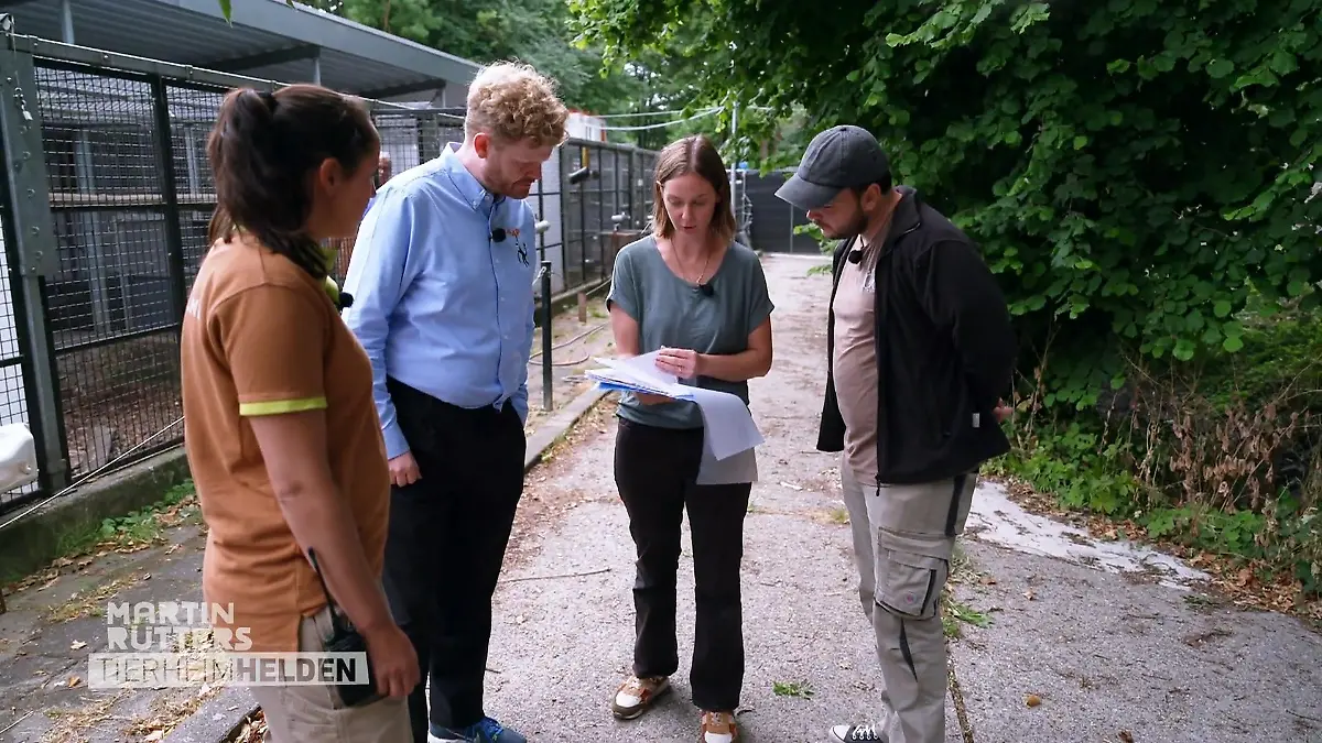 Warum Servale nichts in Privathand zu suchen haben Vorbereitung für einen sicheren Transport