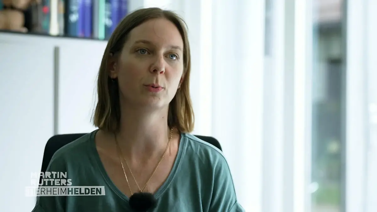 Stressfreier Transport der Servale Ein sensibler Moment