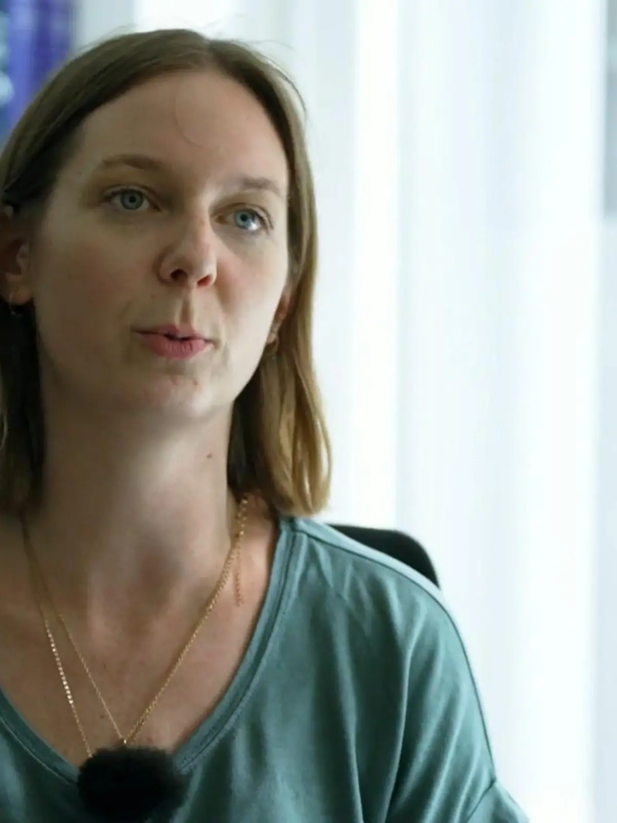 Bild zu: "Stressfreier Transport der Servale"