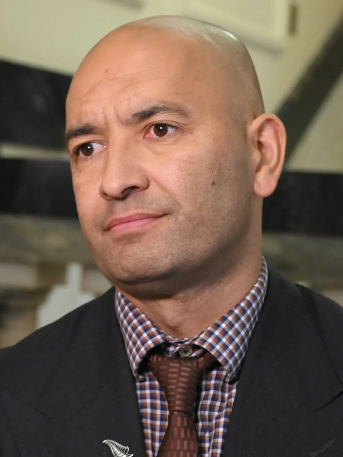 NEW ZEALAND PARLIAMENT, New Zealand Maori Development Minister Tama Potaka speaks at New Zealand Parliament in Wellingto