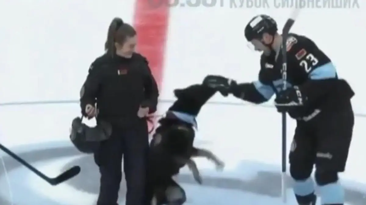 Plötzlich schnappt er zu! Hund verbeißt sich in Eishockey-Star Mitten auf dem Spielfeld