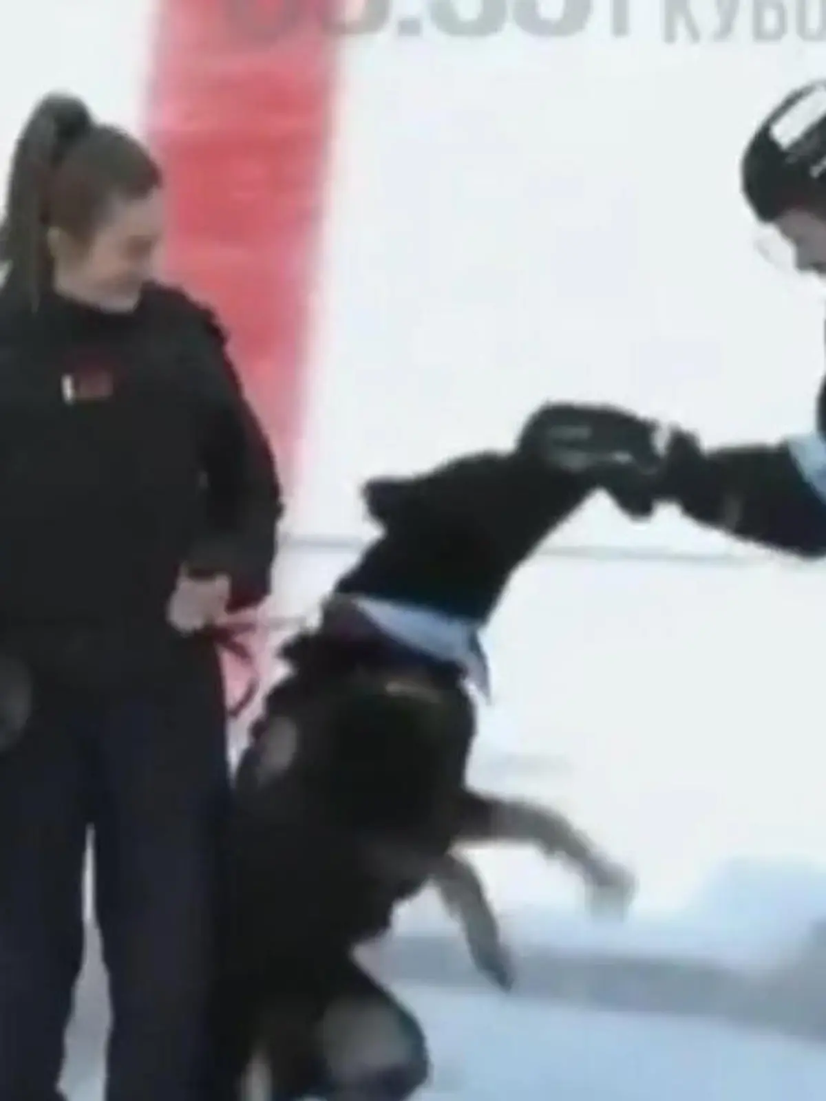 Bild zu: "Plötzlich schnappt er zu! Hund verbeißt sich in Eishockey-Star"