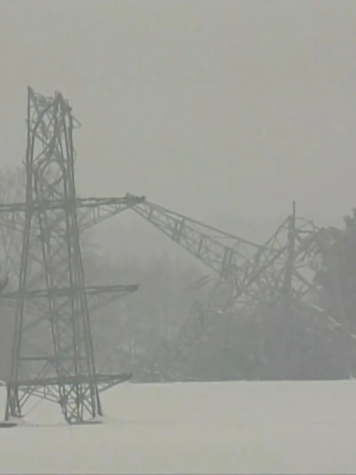 Bild zu: "20 Jahre nach Schnee-Chaos im Münsterland"