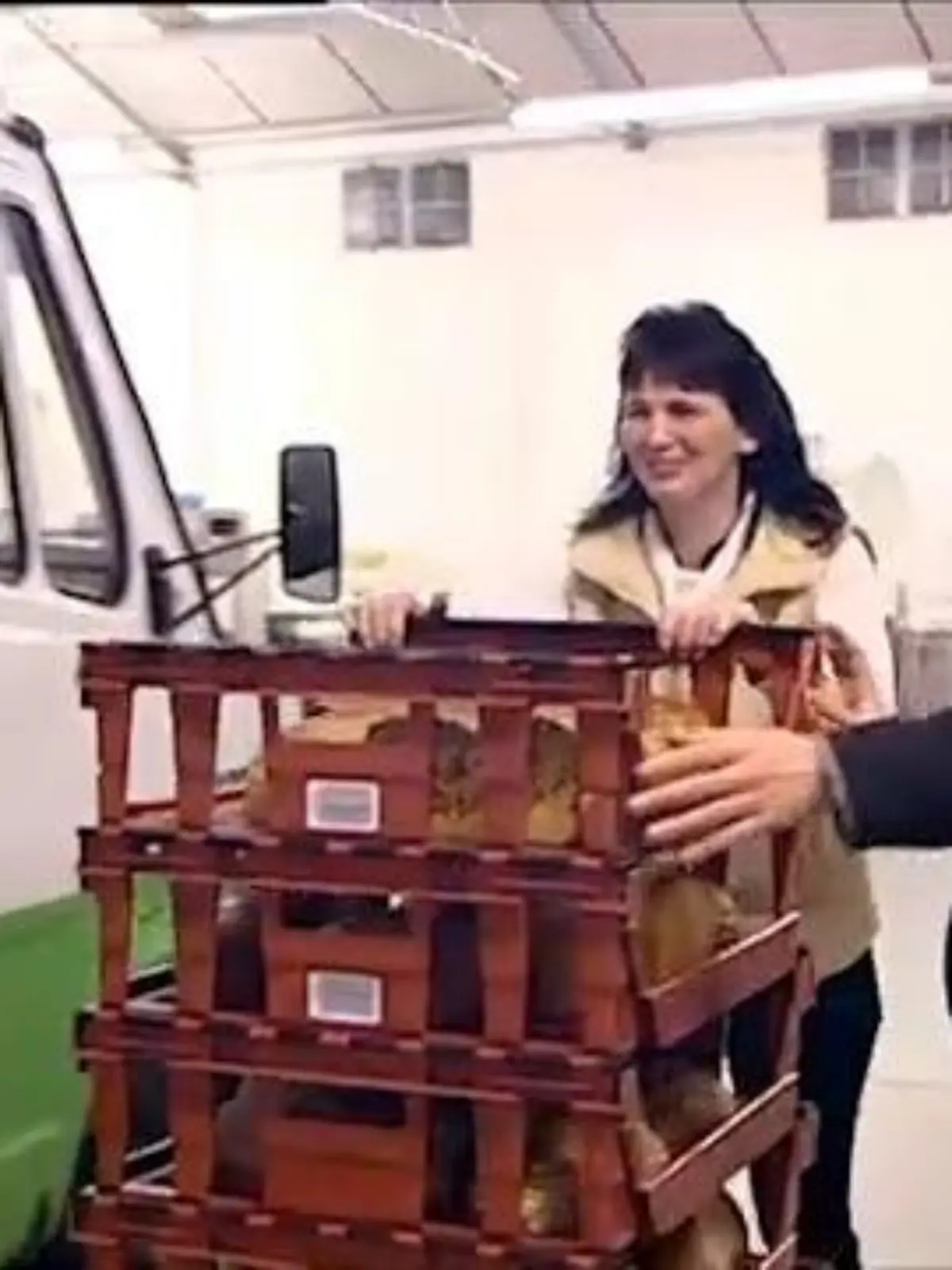 Bild zu: "Mamas Liebling kommt nach London"