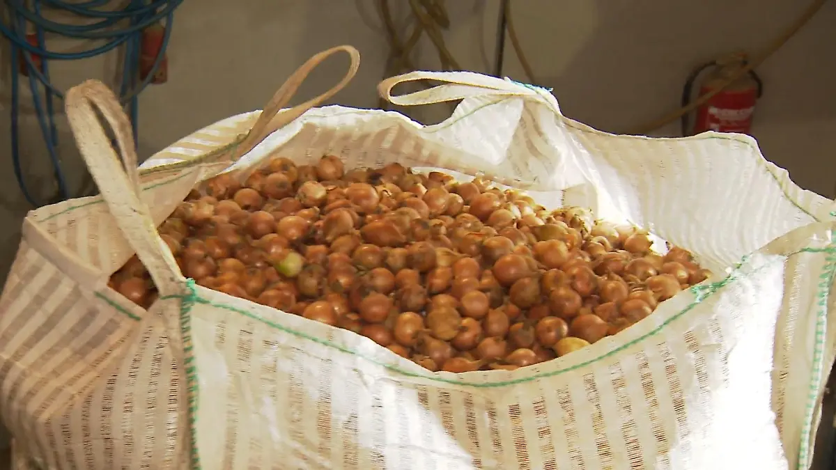 Landwirt spendet Zwiebeln an Tafel Schöne Überraschung