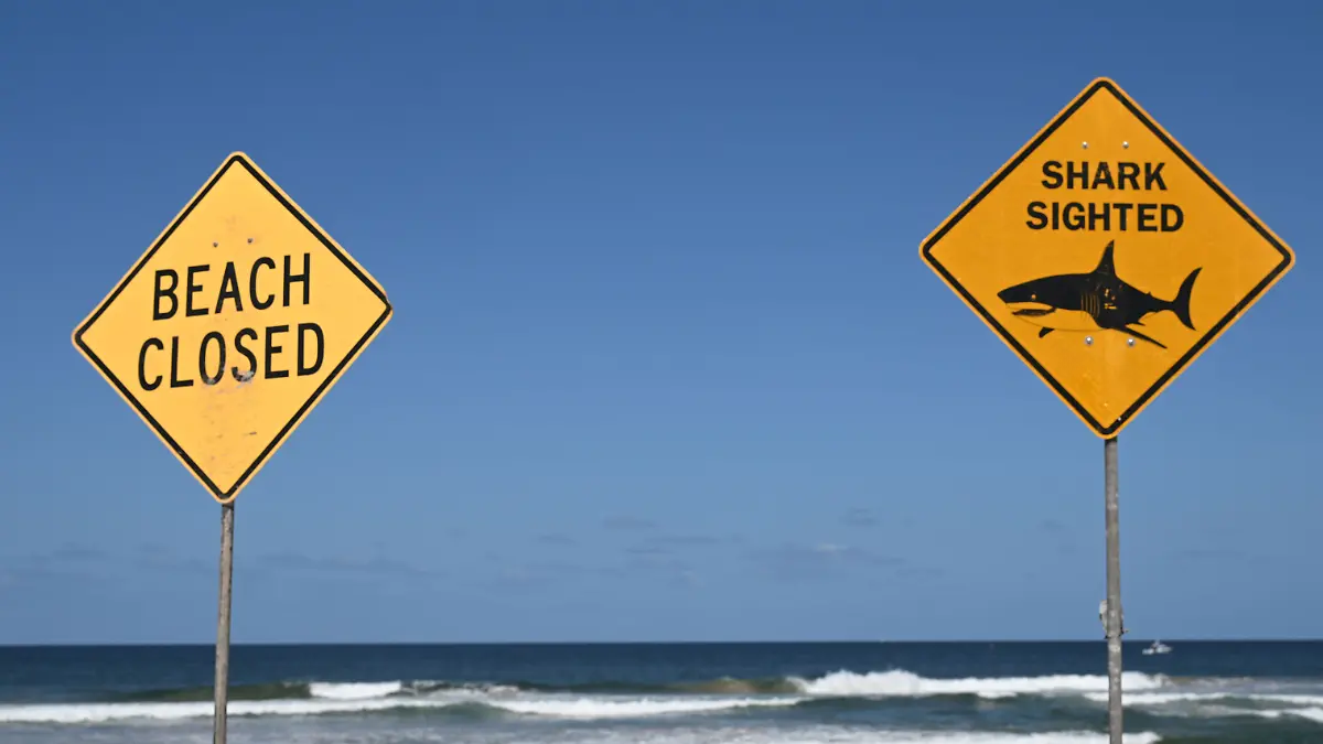 Hai-Angriff-in-Australien-Junge-Frau-stirbt-Mann-berlebt-nur-knapp