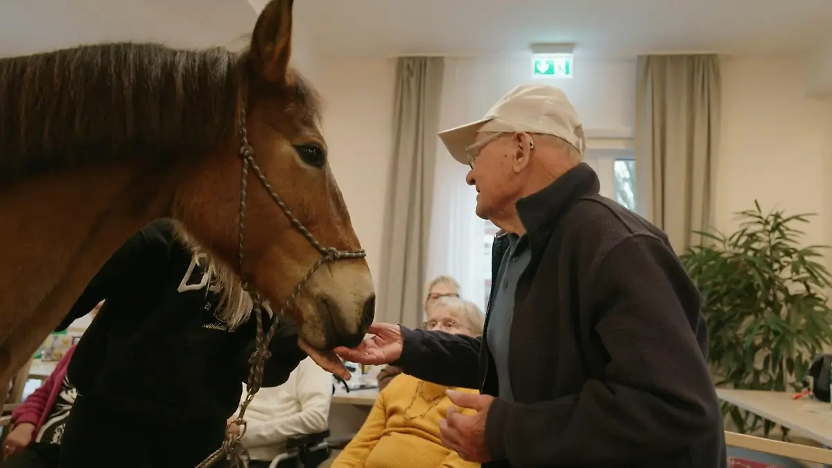 Im Altenheim steht ein Pferd aufm Flur Bewohner völlig aus dem Häuschen