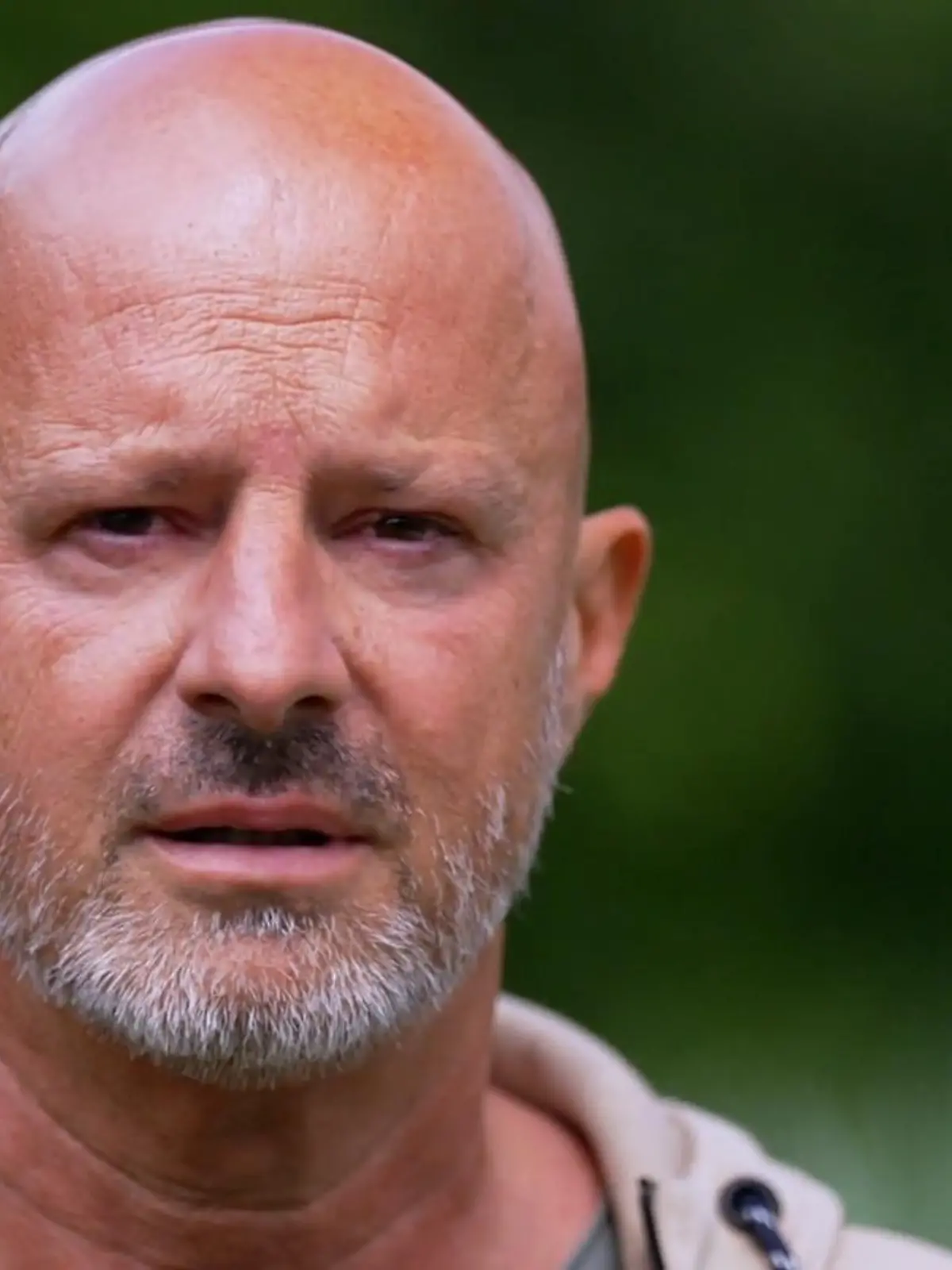 Bild zu: "Buddy findet nach einer dramatischen Vergangenheit Sicherheit"