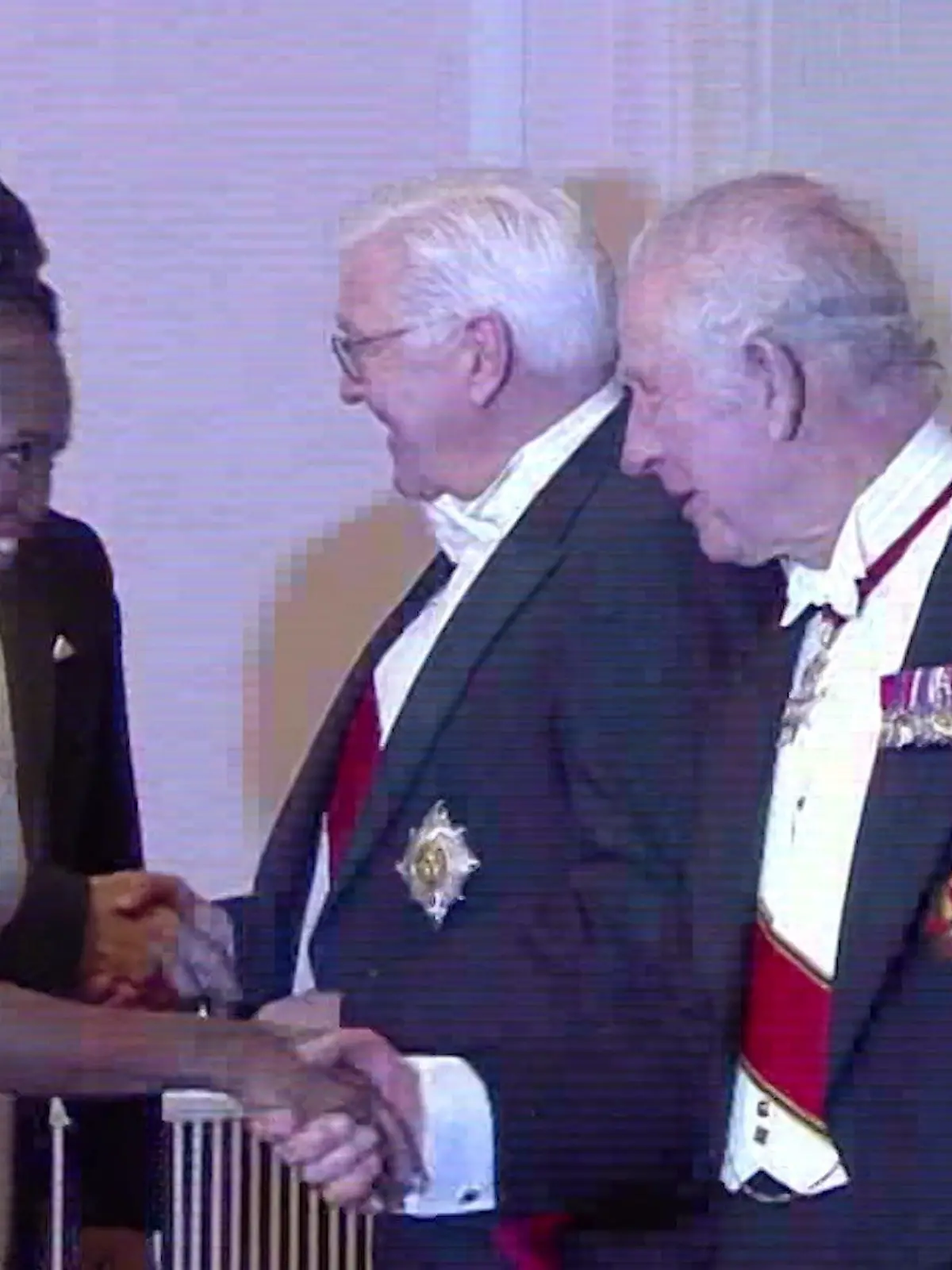 Bild zu: "Motsi Mabuse beim Staatsbankett für König Charles und Camilla"