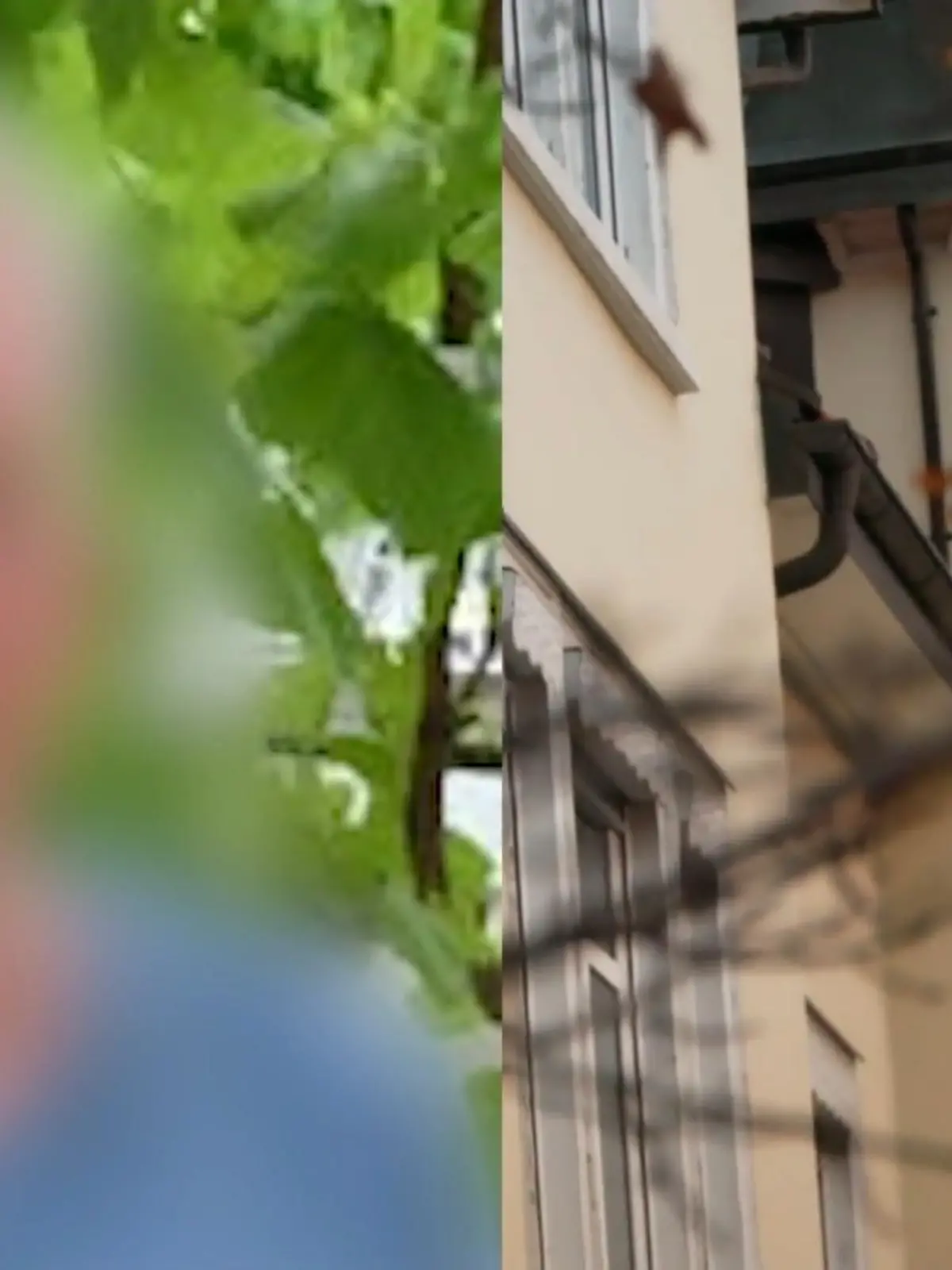 Bild zu: "Mann löscht ganze Familie im Raum Reutlingen aus"