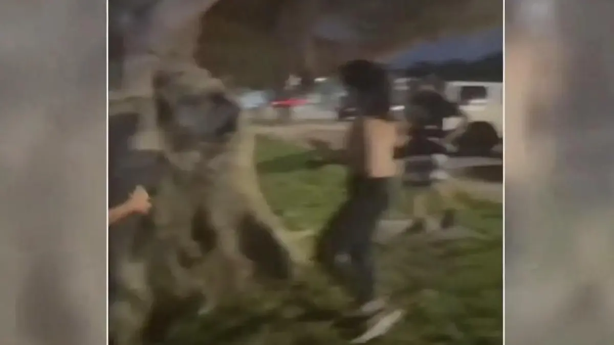 Jagd auf Jogger! Autofahrer rast absichtlich auf Menschenmenge zu Weil er sich belästigt fühlt