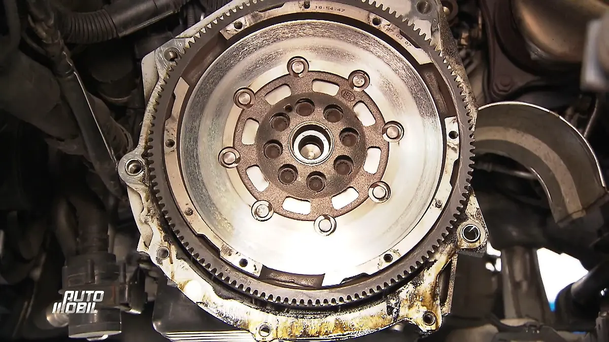 Die Kupplungsmechanik im Expertencheck Technik leicht verständlich