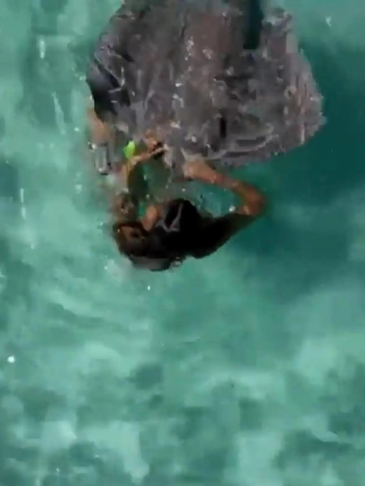 Bild zu: "Stachelrochen-Angriff in den Flitterwochen! Plötzlich muss Touristin fliehen"