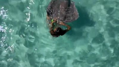 Ozeanien: Stachelrochen-Angriff in den Flitterwochen! Touristin wird verfolgt und gebissen