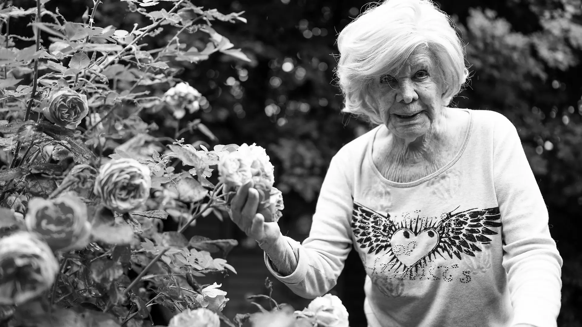 Ingrid van Bergen