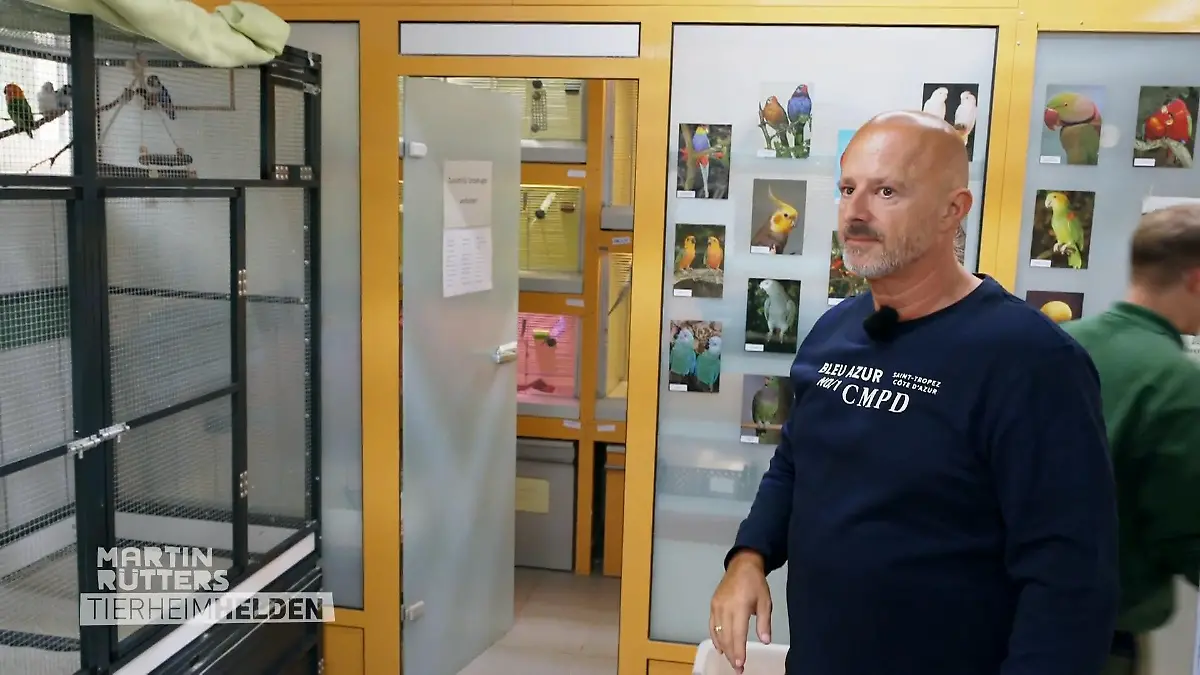 Ausreißer im Vogelhaus Deffi gibt alles