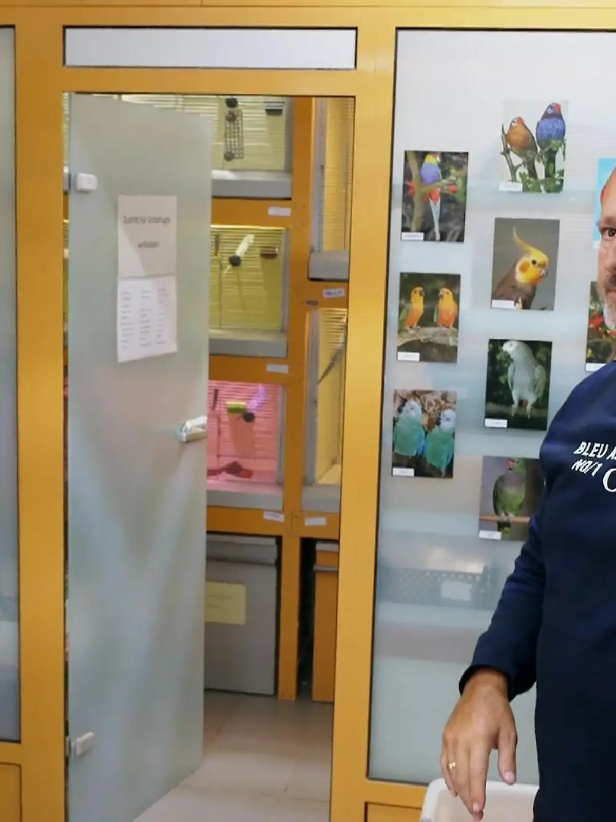 Bild zu: "Ausreißer im Vogelhaus"