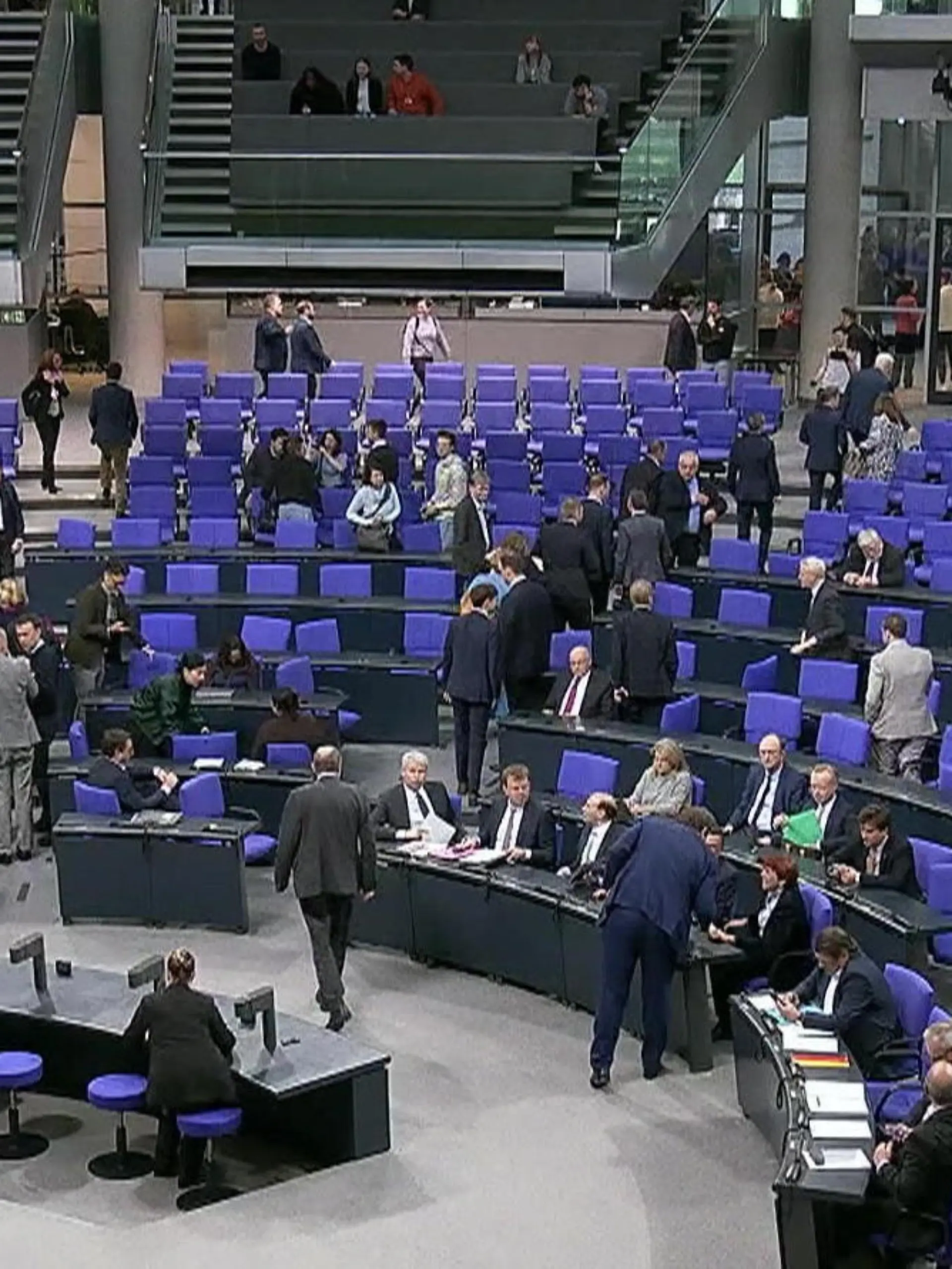 Bild zu: "Schweinisches Codewort im Bundestag – plötzlich benutzen es ALLE!"